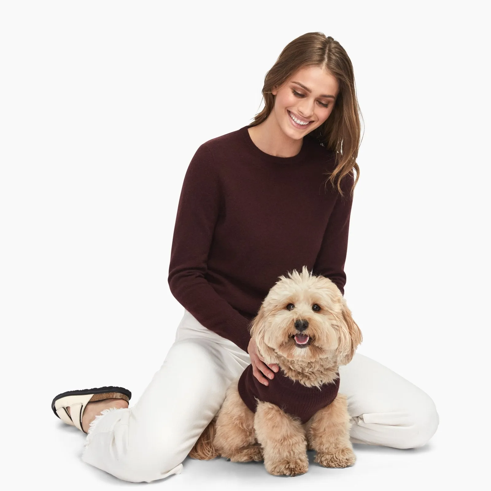 Cashmere Dog Sweater