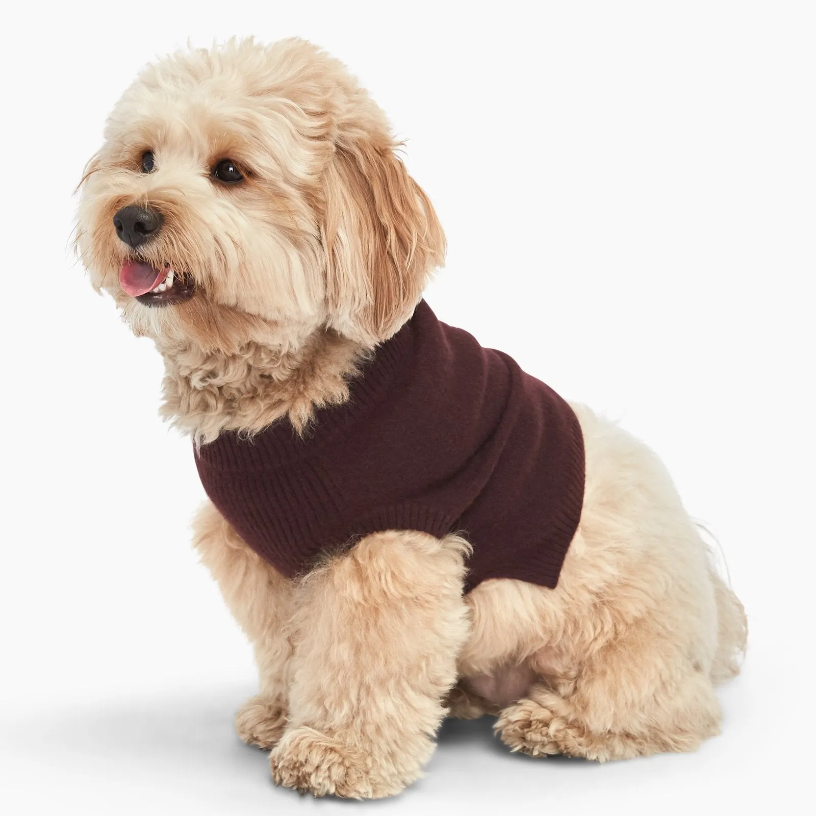 Cashmere Dog Sweater