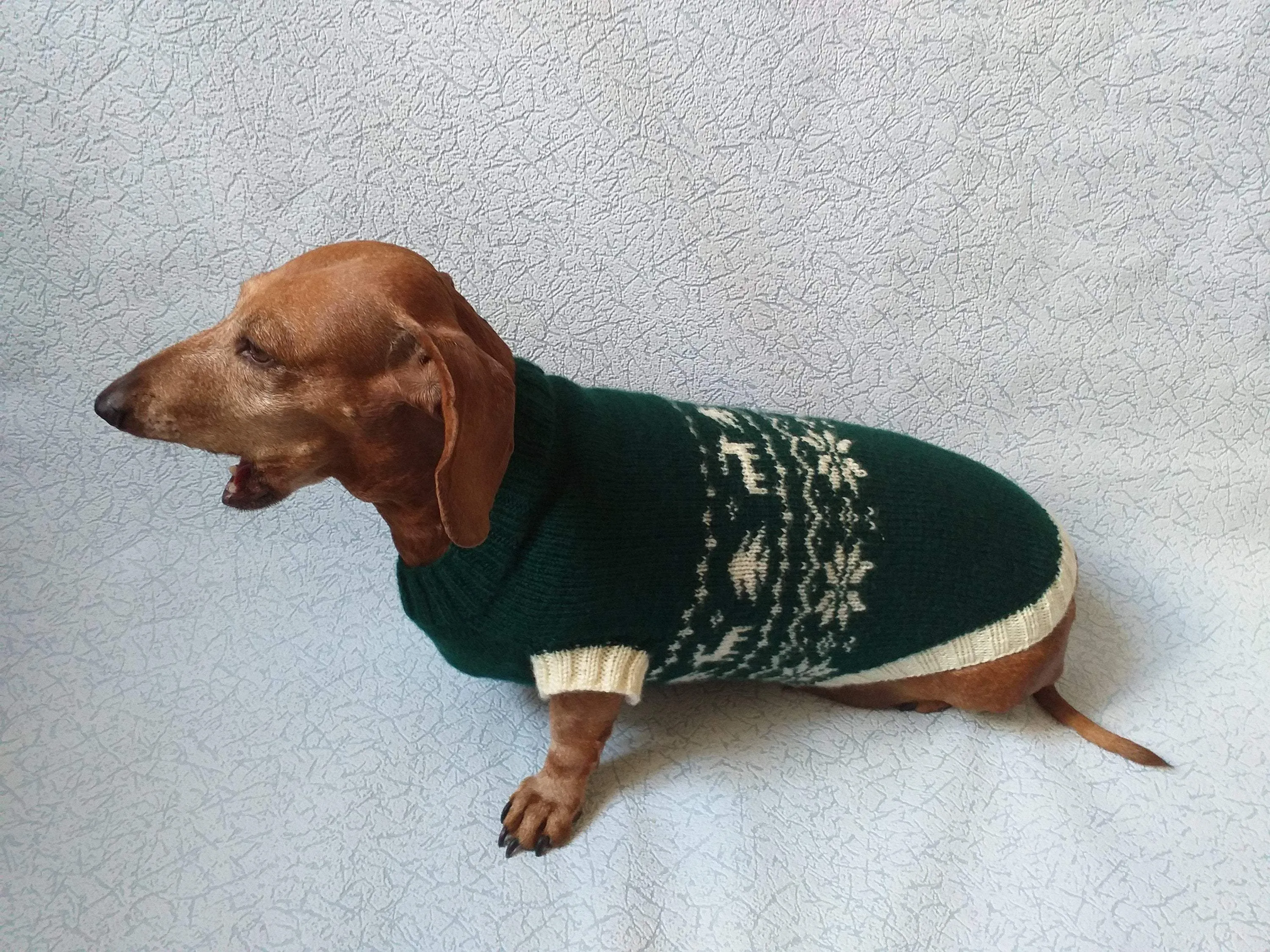 Christmas dog sweater with deer and snowflakes