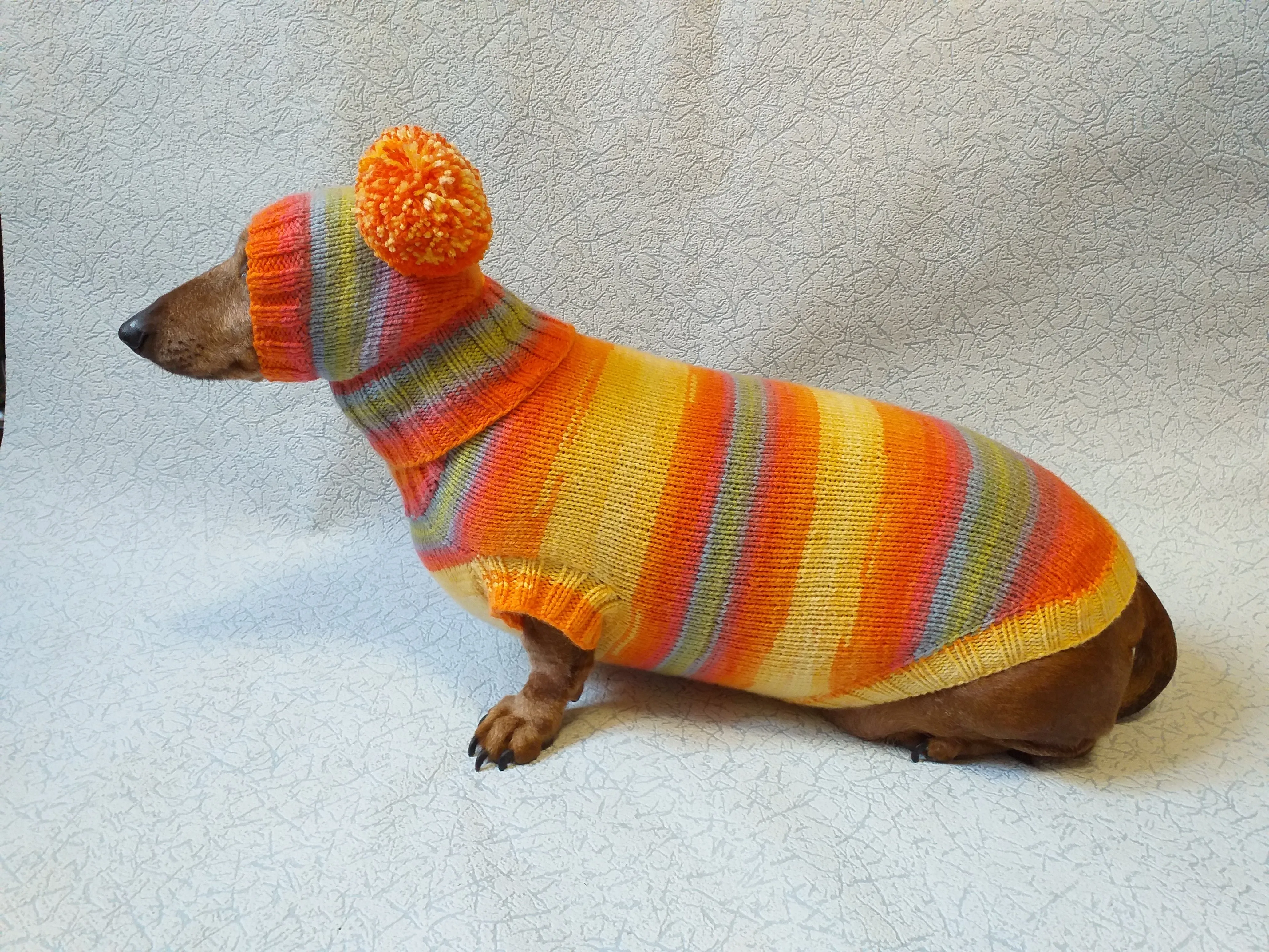 Costume for miniature dachshund sweater and hat, Doxie sweater and hat set, clothes for small dog of dachshund