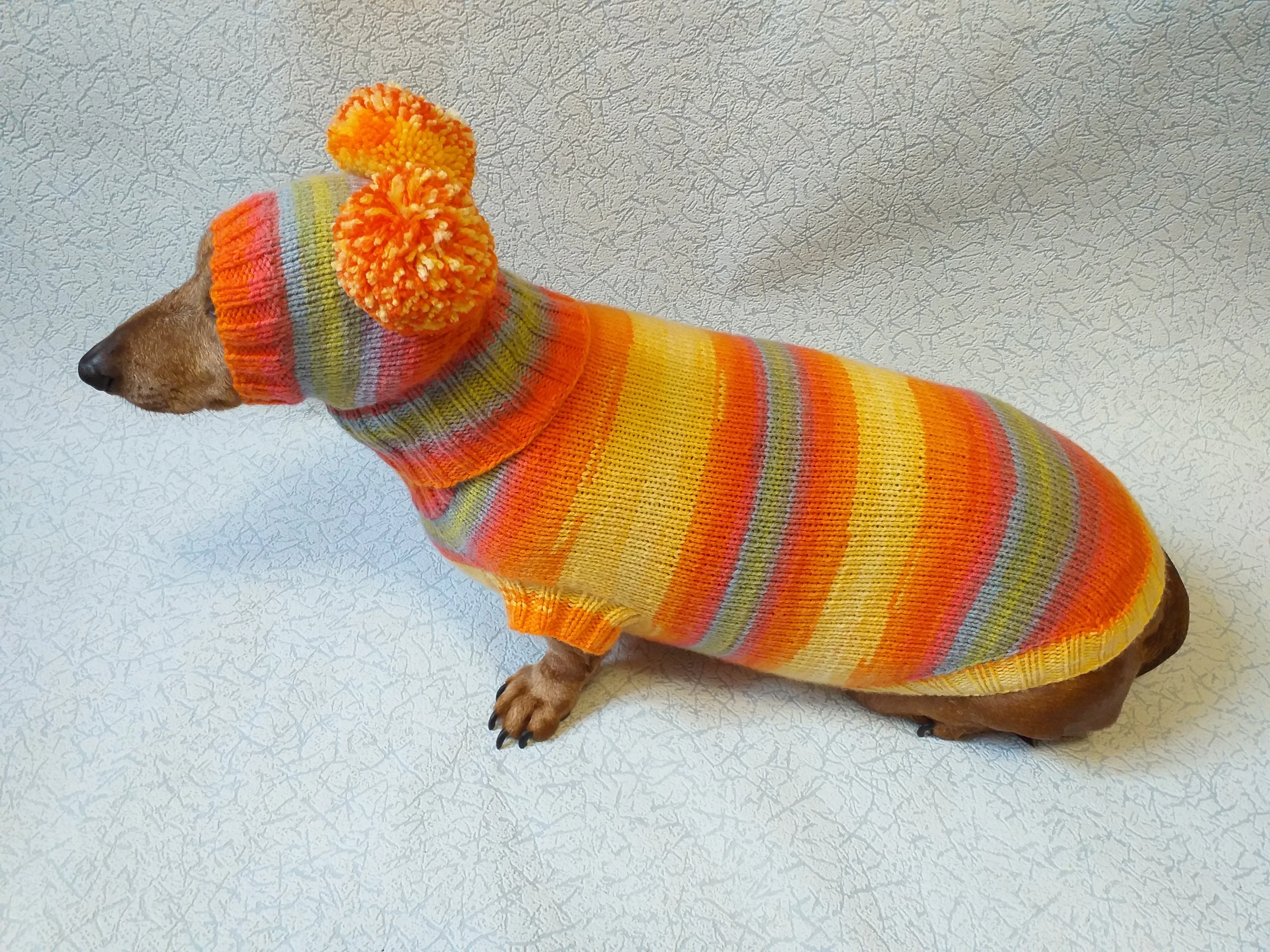 Costume for miniature dachshund sweater and hat, Doxie sweater and hat set, clothes for small dog of dachshund