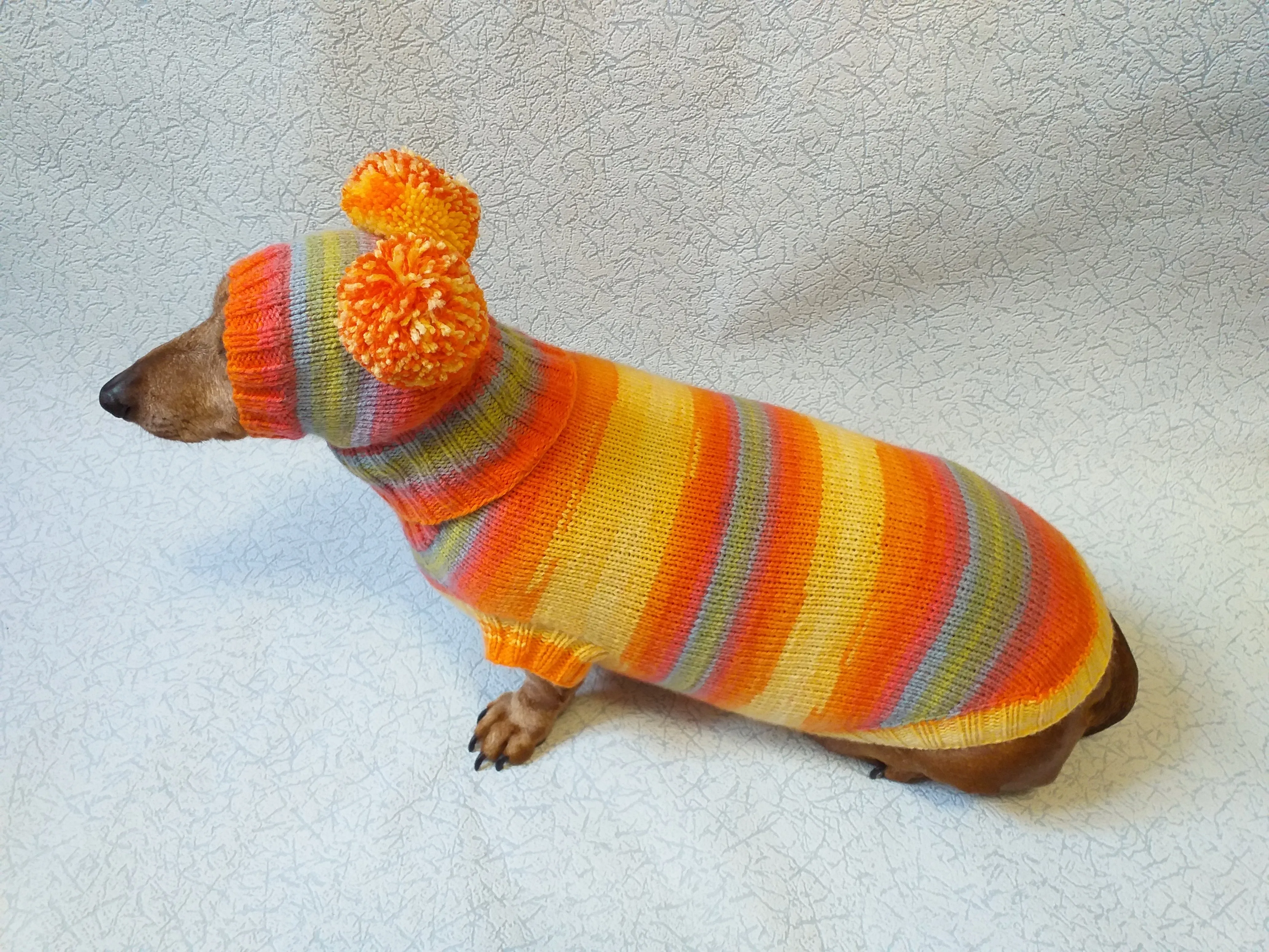 Costume for miniature dachshund sweater and hat, Doxie sweater and hat set, clothes for small dog of dachshund