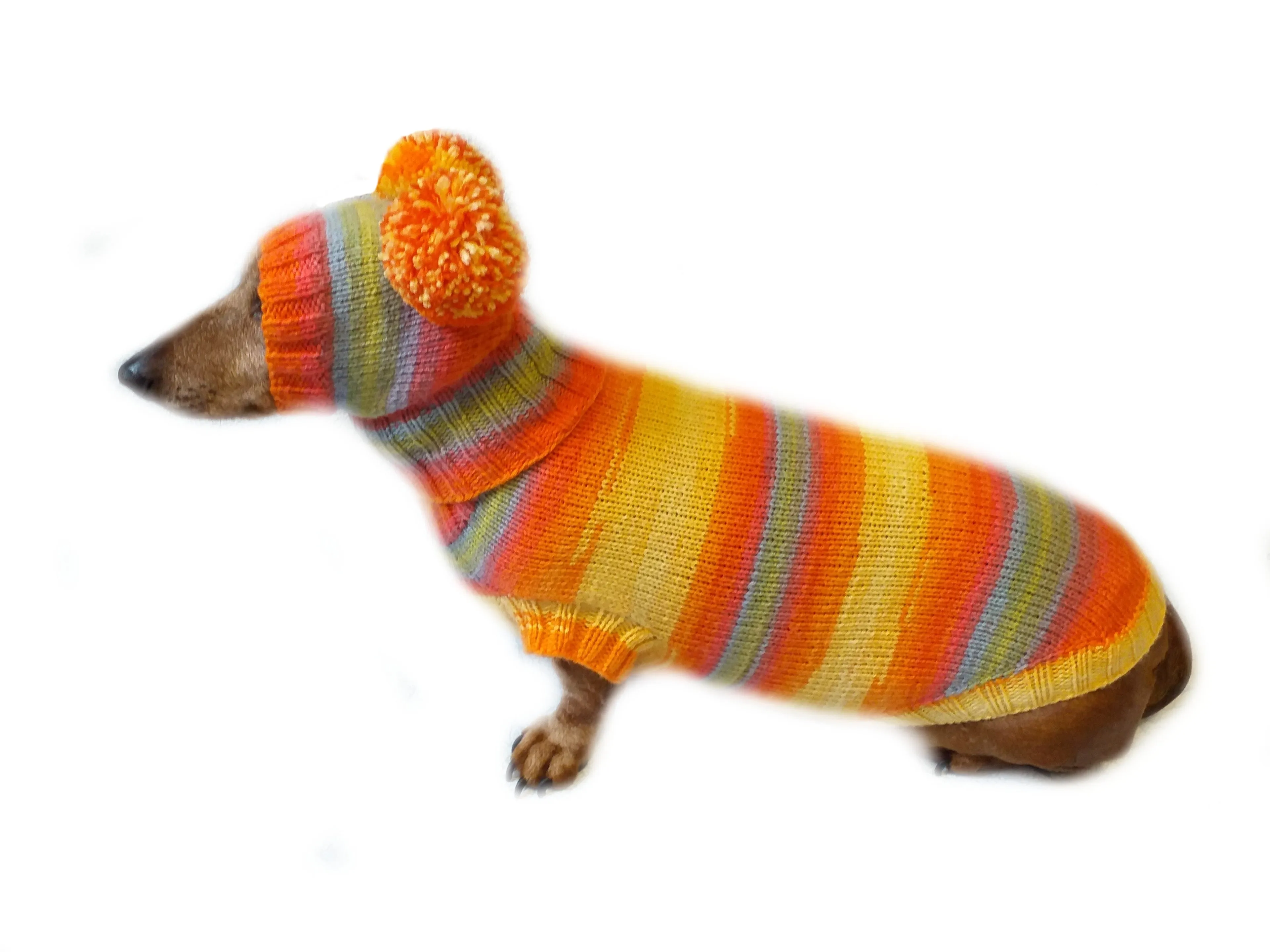 Costume for miniature dachshund sweater and hat, Doxie sweater and hat set, clothes for small dog of dachshund