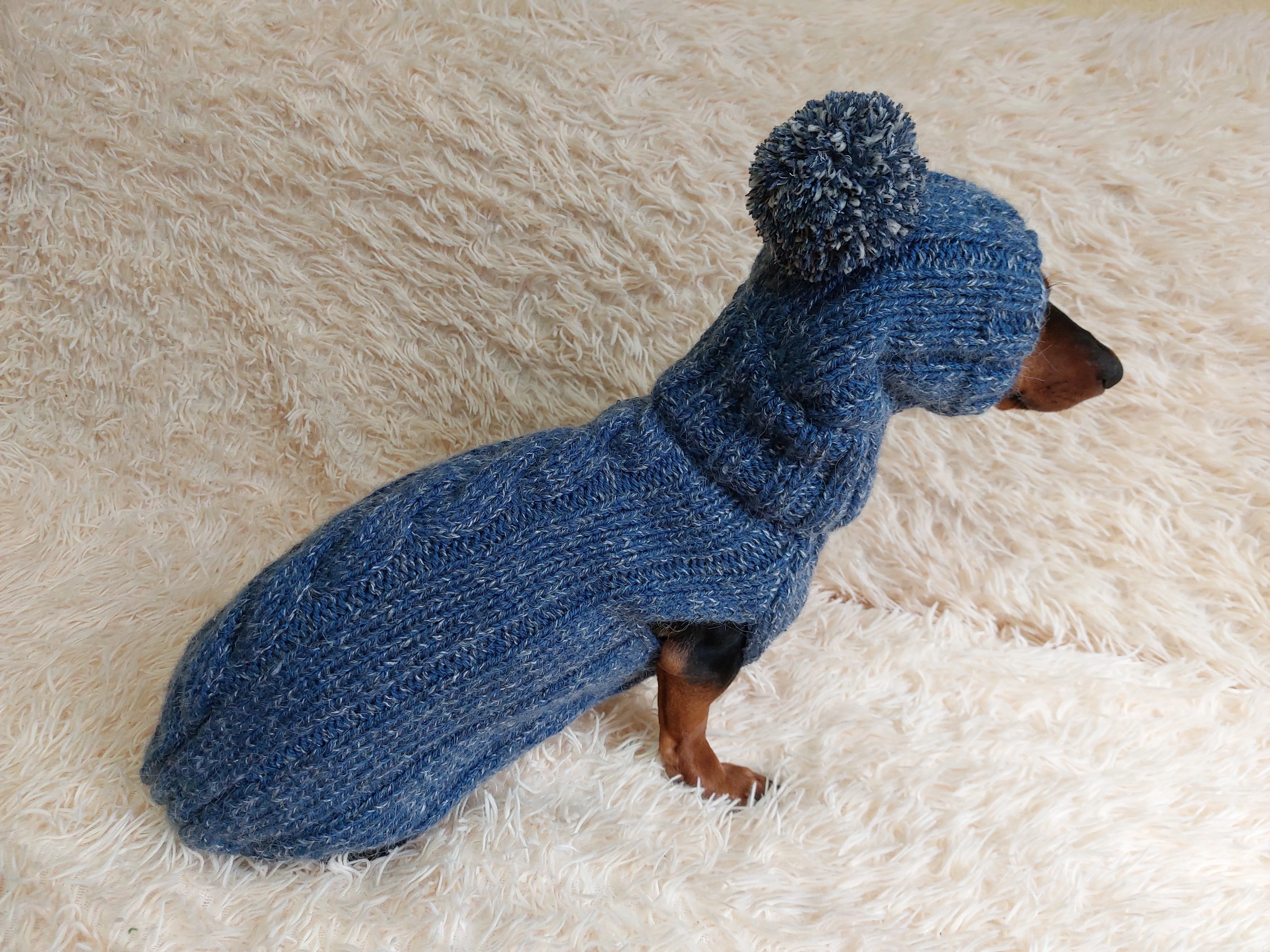 Dachshund costume winter warm sweater and hat with arans