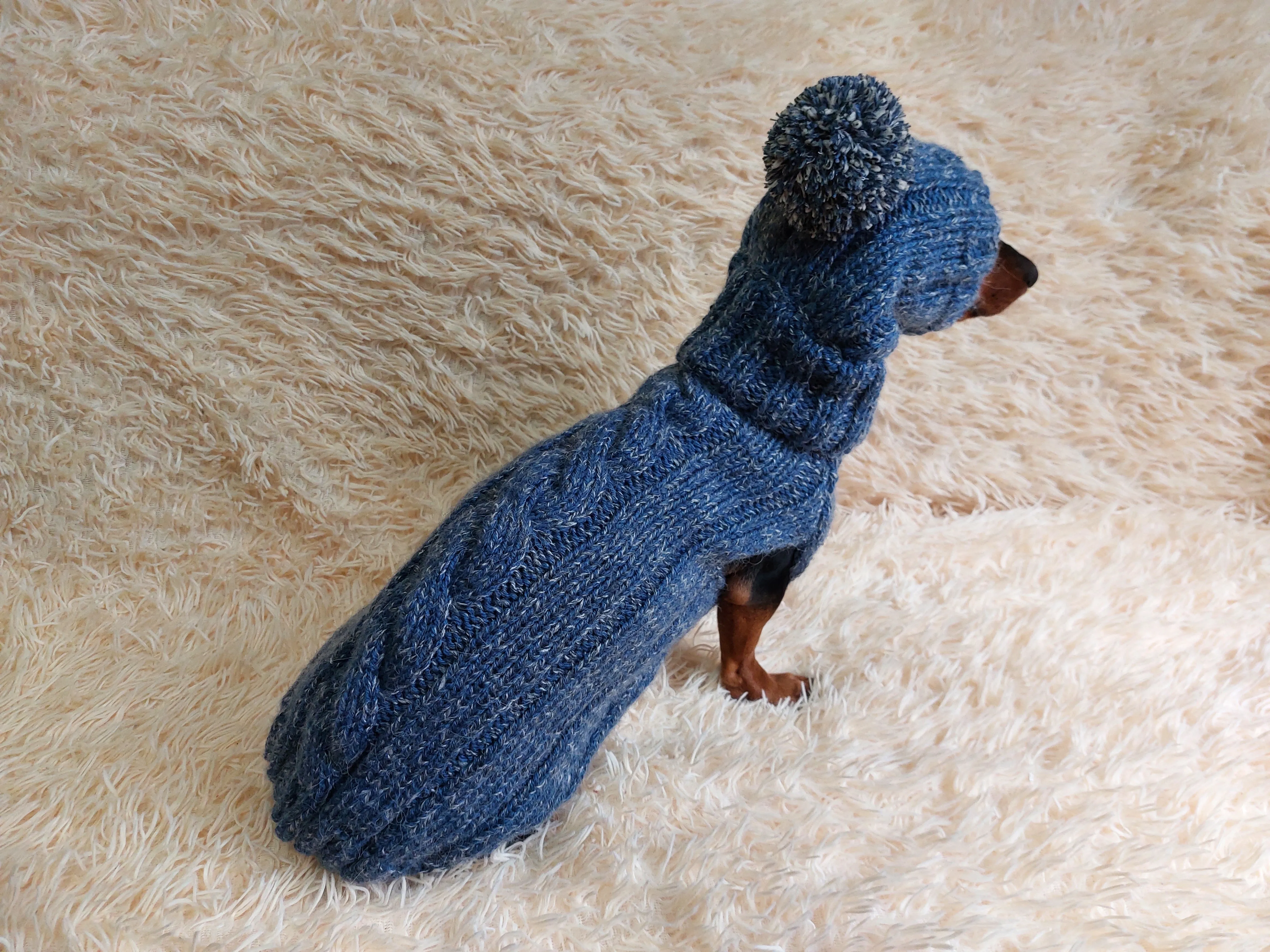 Dachshund costume winter warm sweater and hat with arans