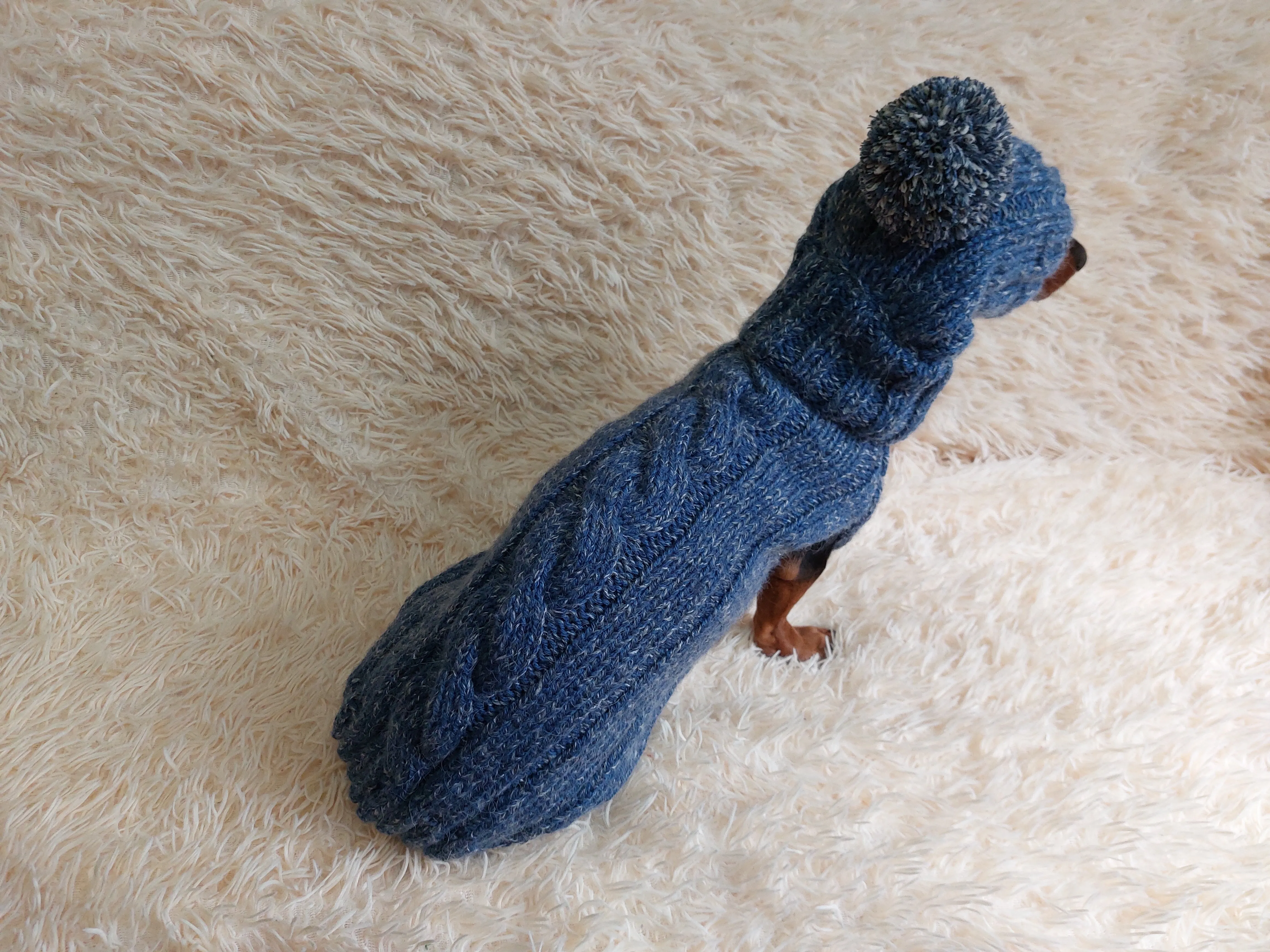 Dachshund costume winter warm sweater and hat with arans