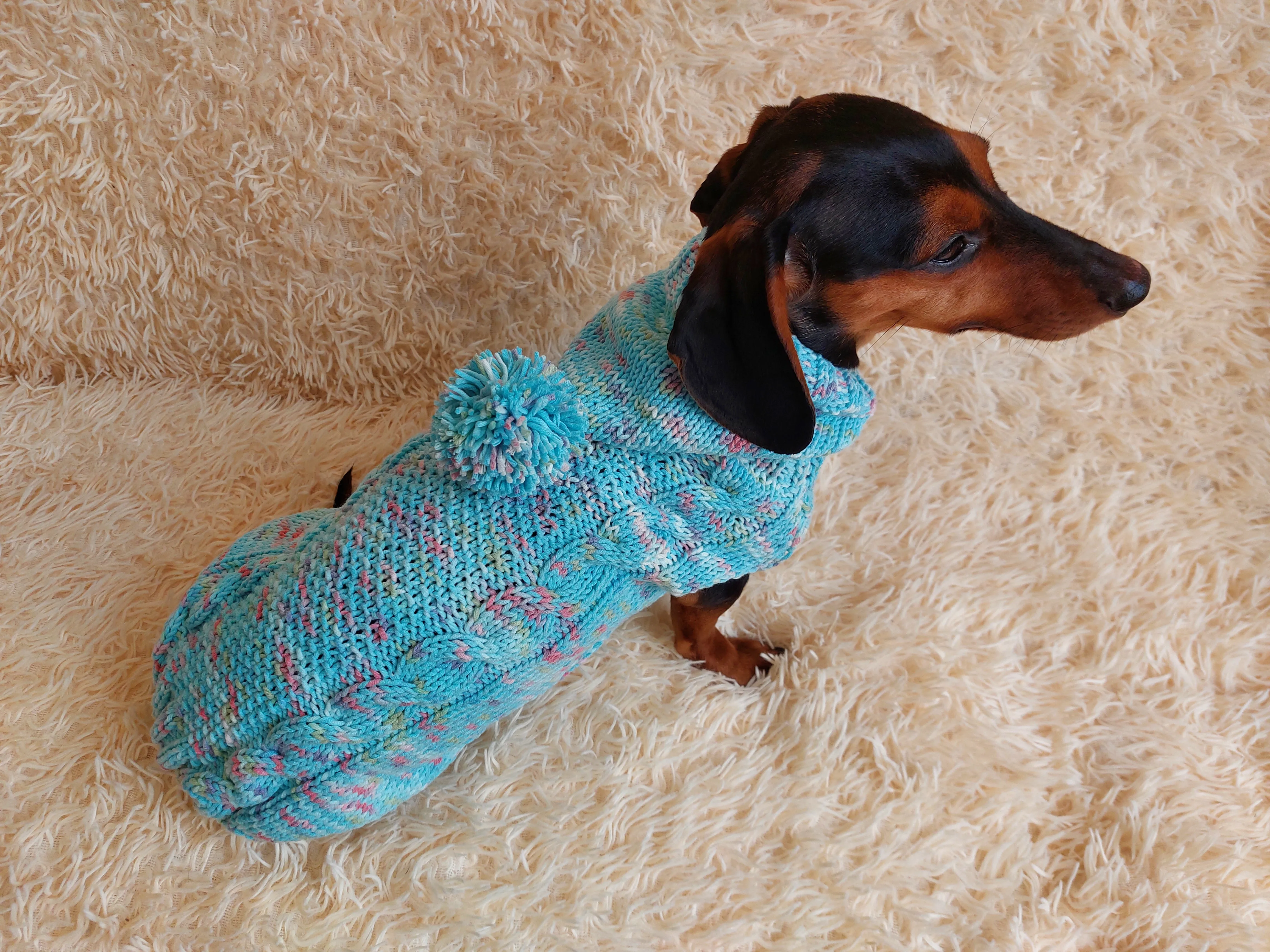 Dachshund Dog Pet Hoodie Warm Rainbow Hooded Jumper