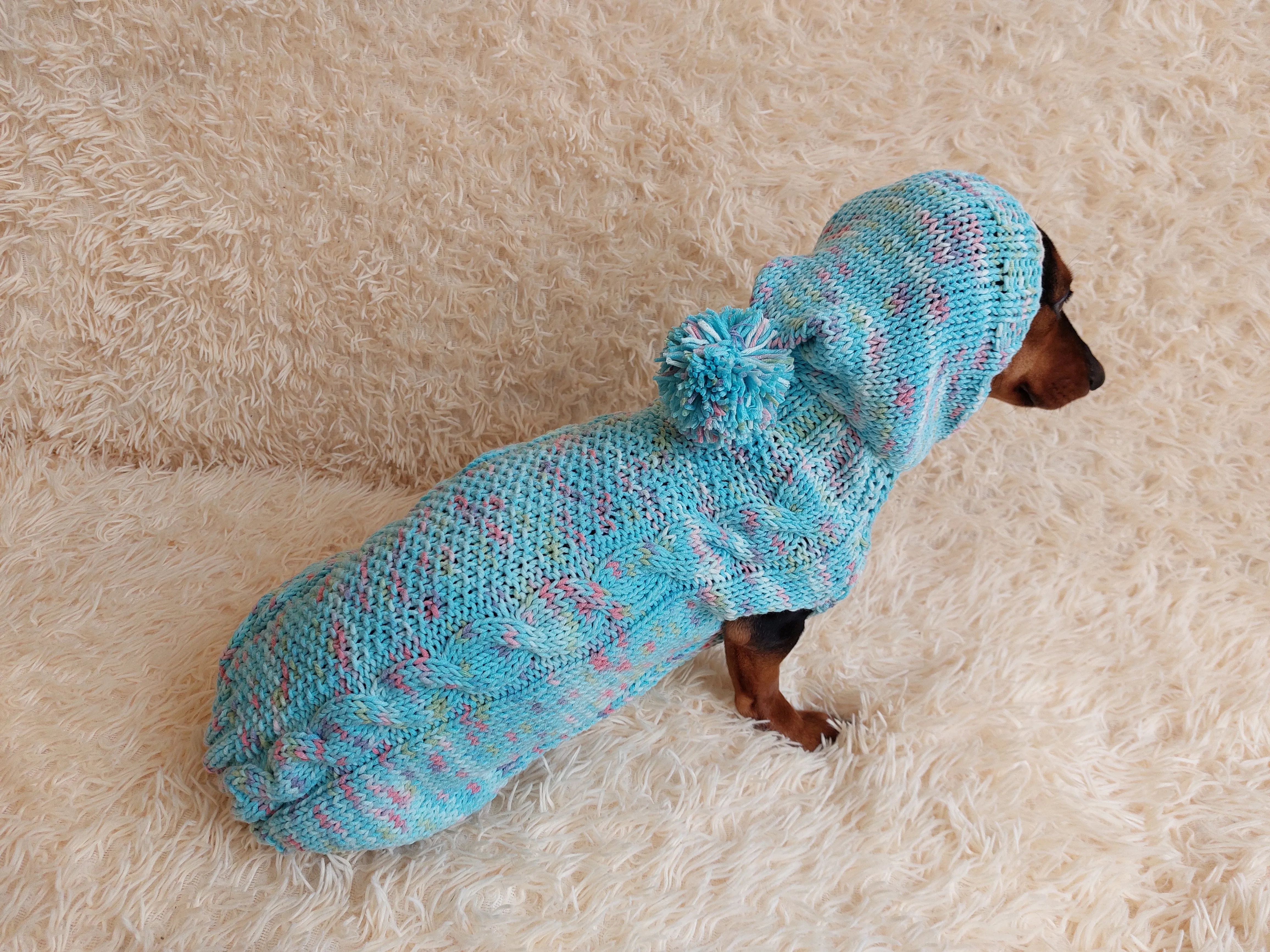 Dachshund Dog Pet Hoodie Warm Rainbow Hooded Jumper