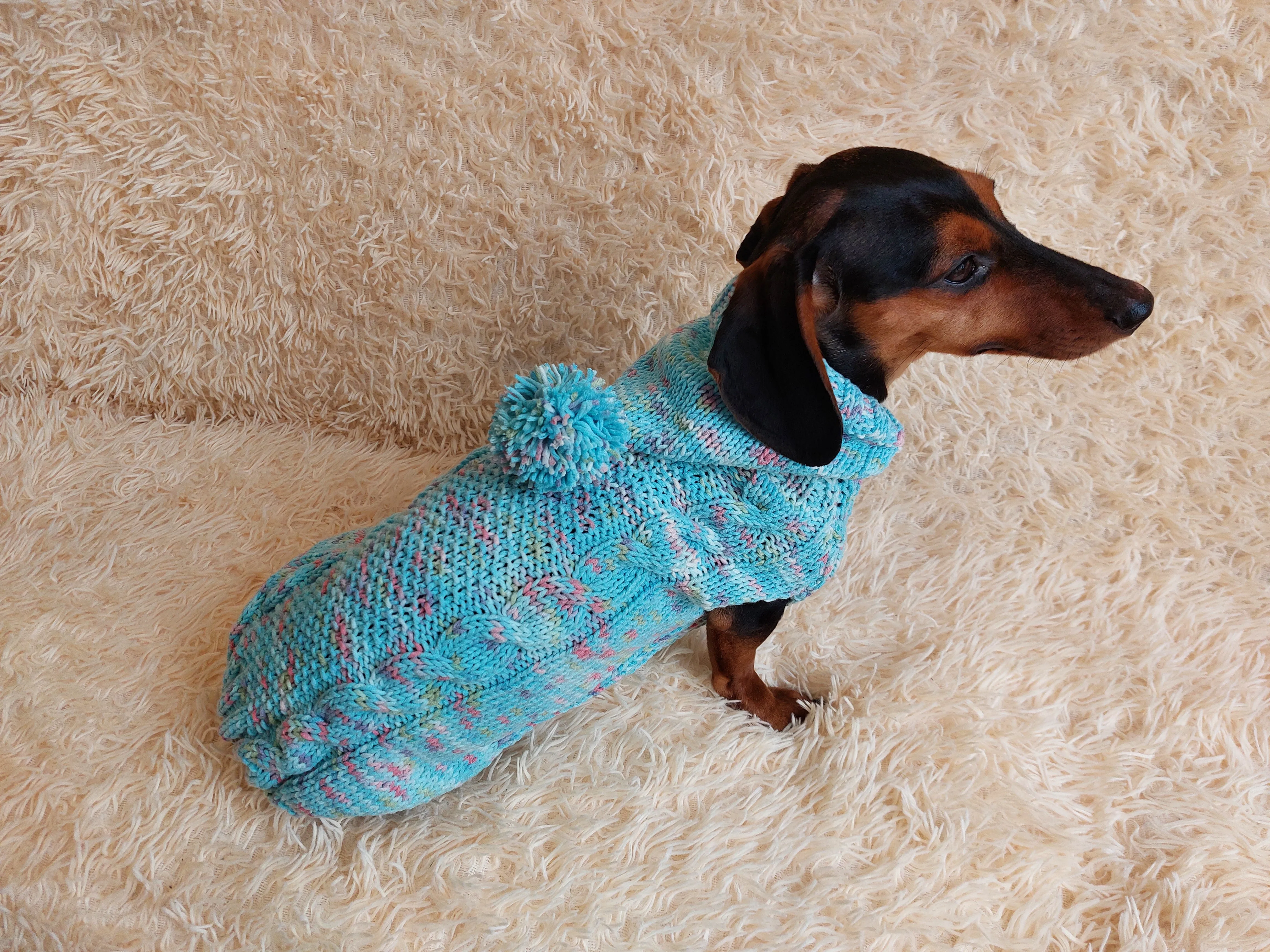 Dachshund Dog Pet Hoodie Warm Rainbow Hooded Jumper