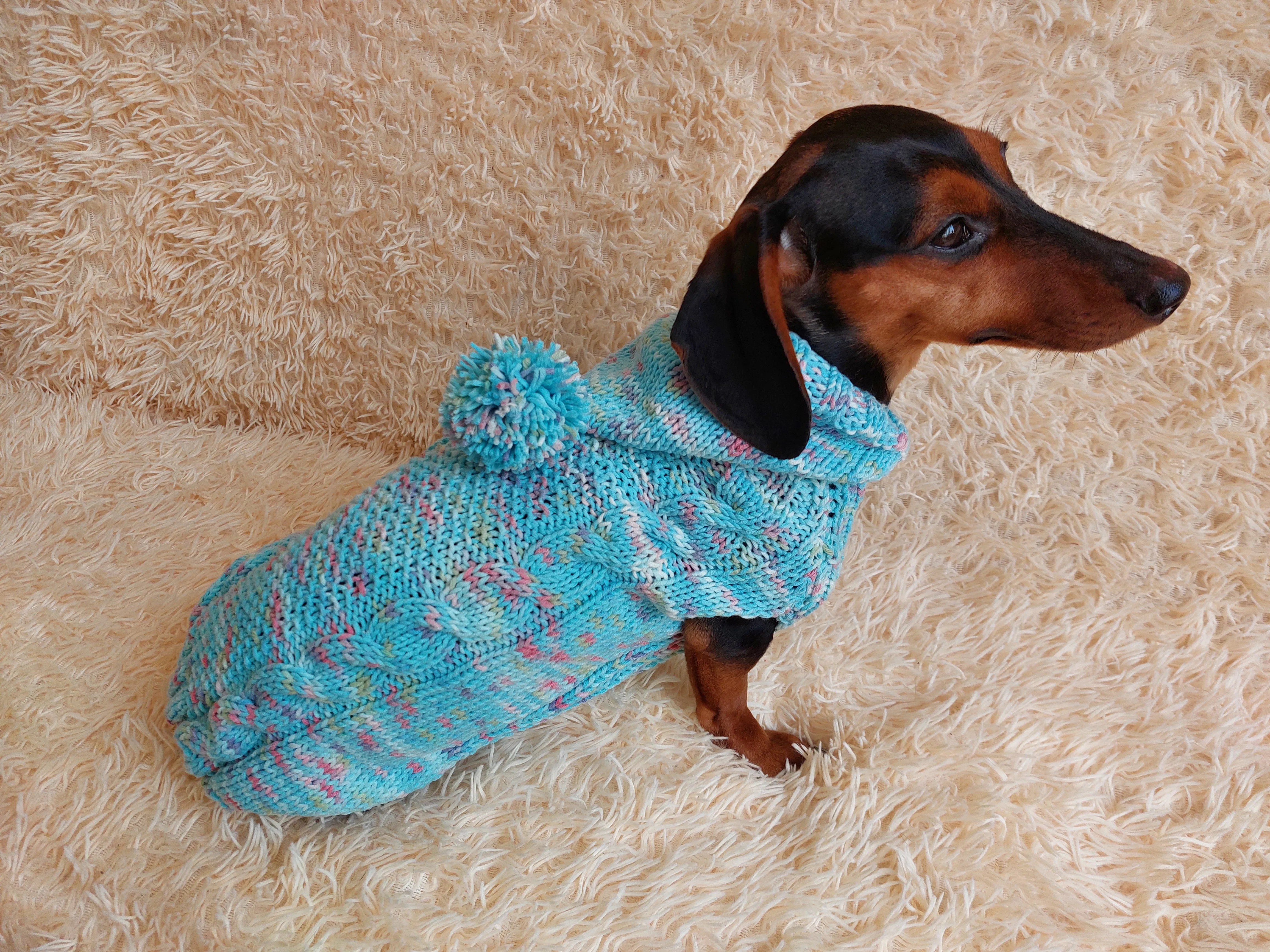 Dachshund Dog Pet Hoodie Warm Rainbow Hooded Jumper