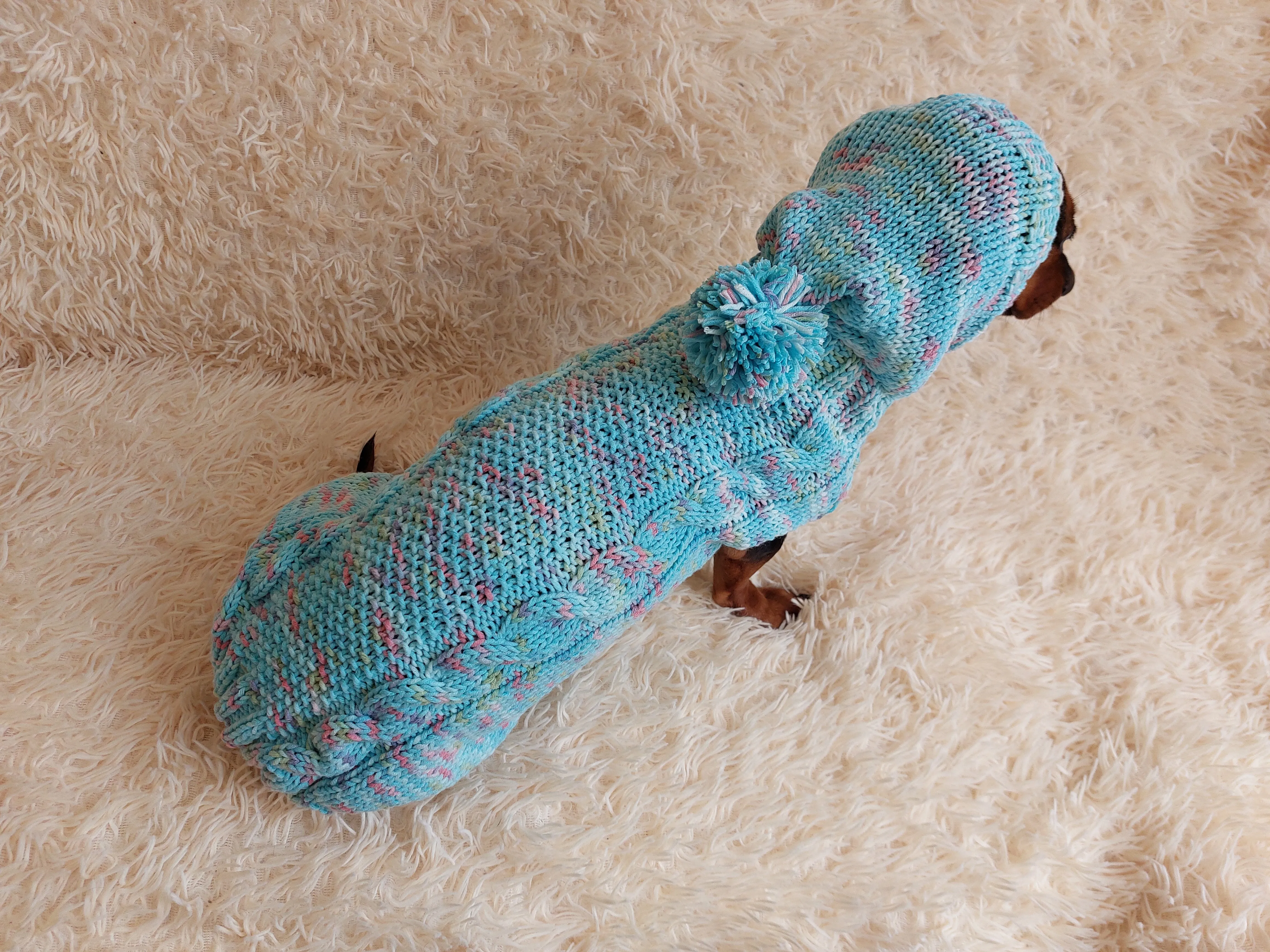 Dachshund Dog Pet Hoodie Warm Rainbow Hooded Jumper