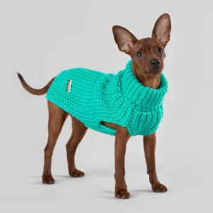 Knit Sweater in Green