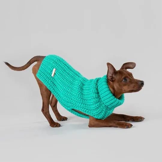 Knit Sweater in Green