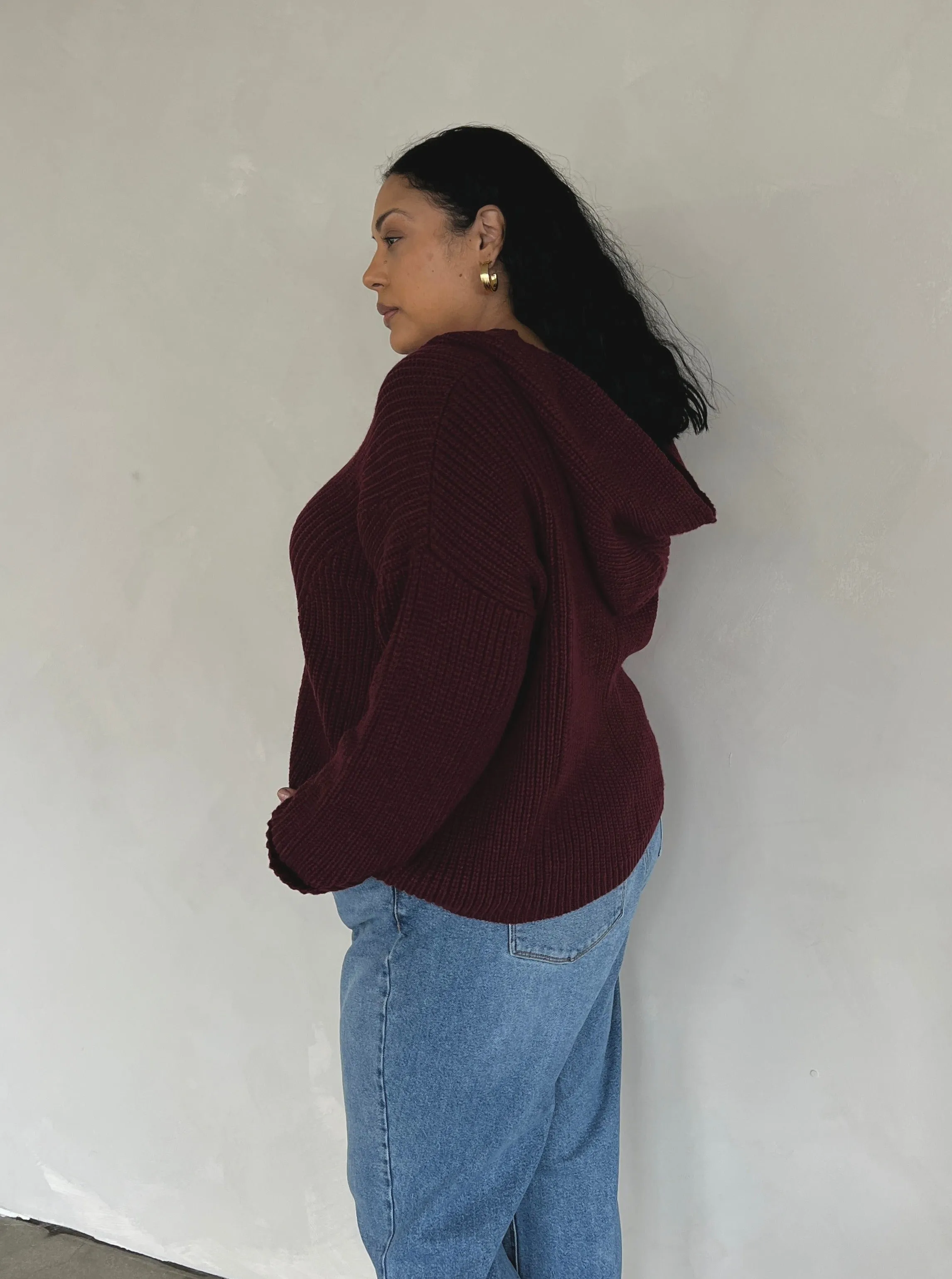 Plus Size V-Neck Hooded Sweater