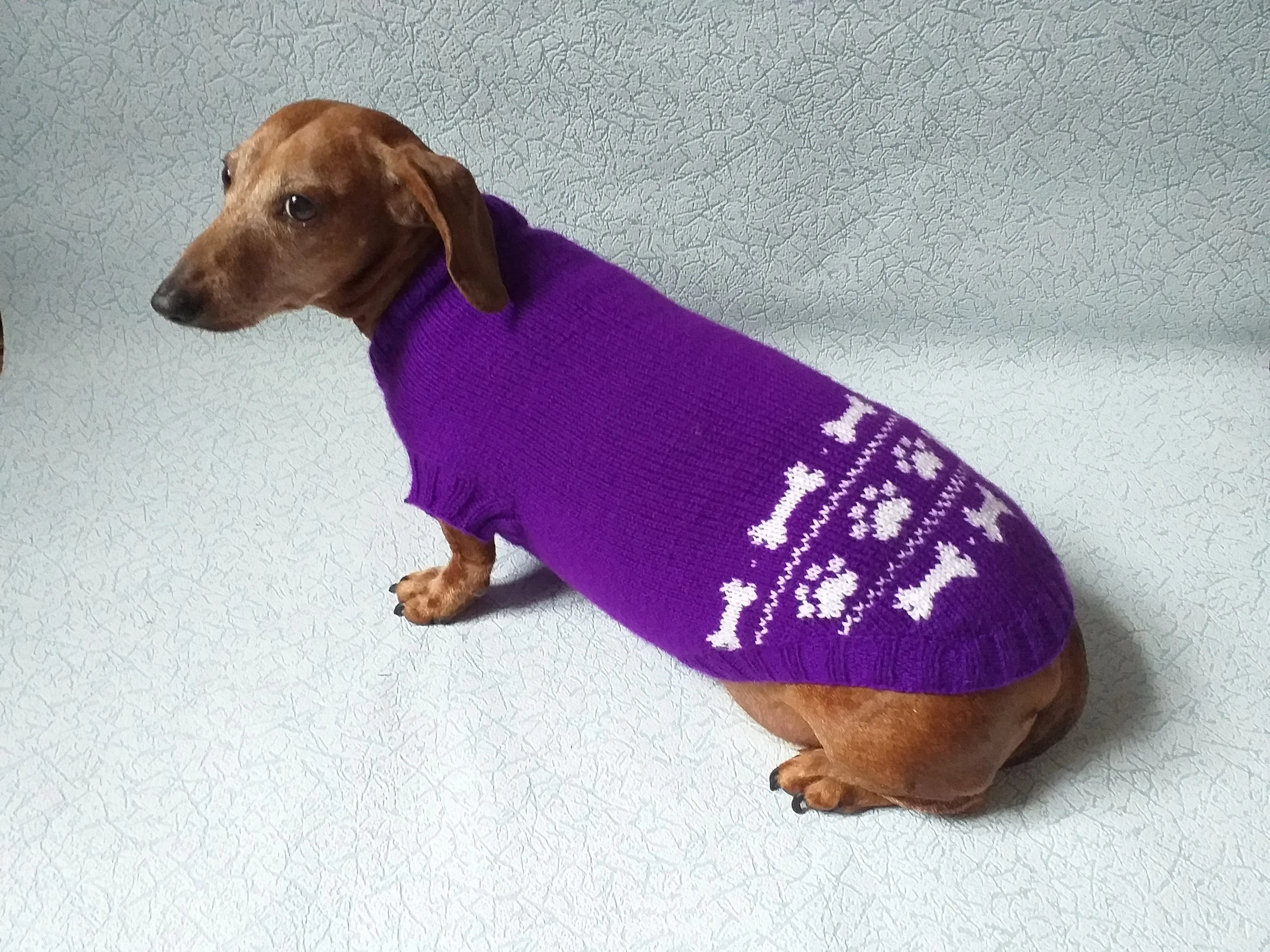 Purple dachshund costume sweater and hat, Costume for miniature dachshund, Doxie sweater and hat set