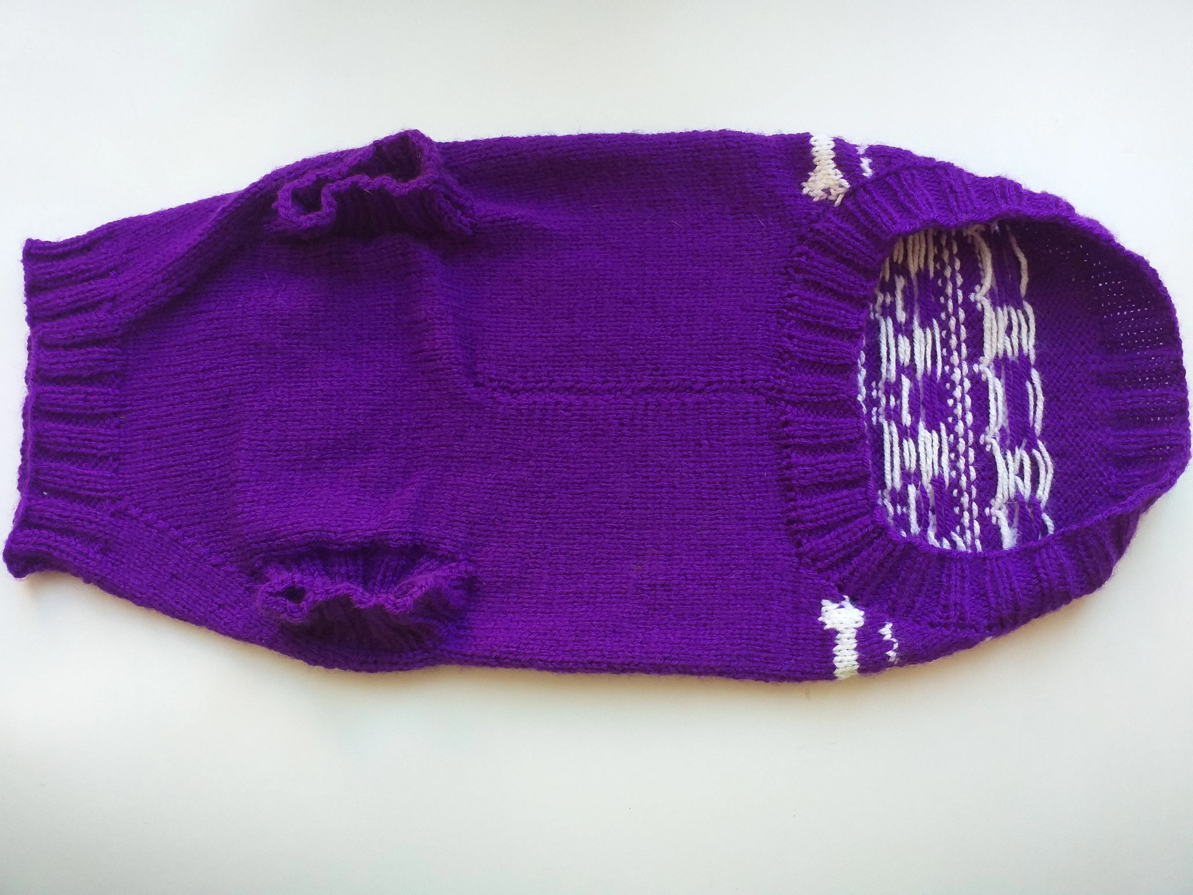 Purple dachshund costume sweater and hat, Costume for miniature dachshund, Doxie sweater and hat set