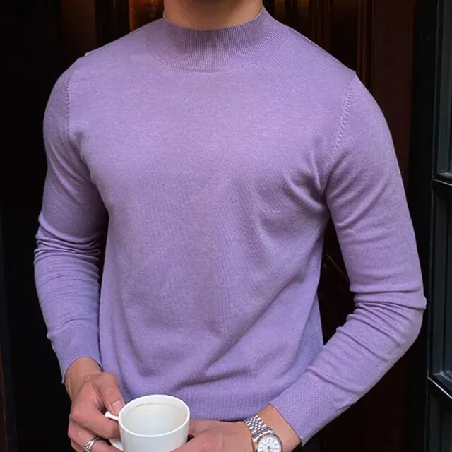 Solid Wool Half High Neck Sweater