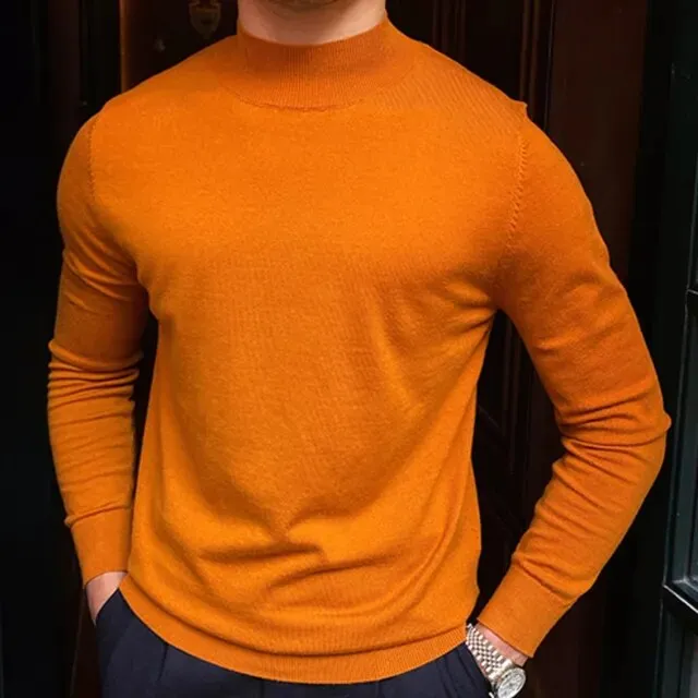 Solid Wool Half High Neck Sweater