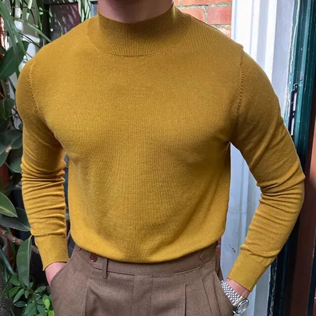 Solid Wool Half High Neck Sweater