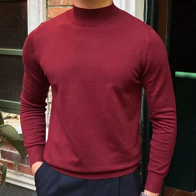 Solid Wool Half High Neck Sweater